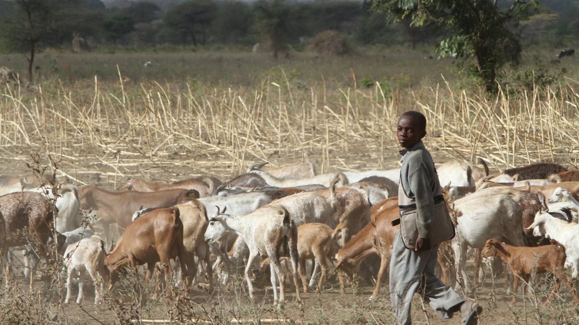 KAMAMMA  KAMAMMA  234032